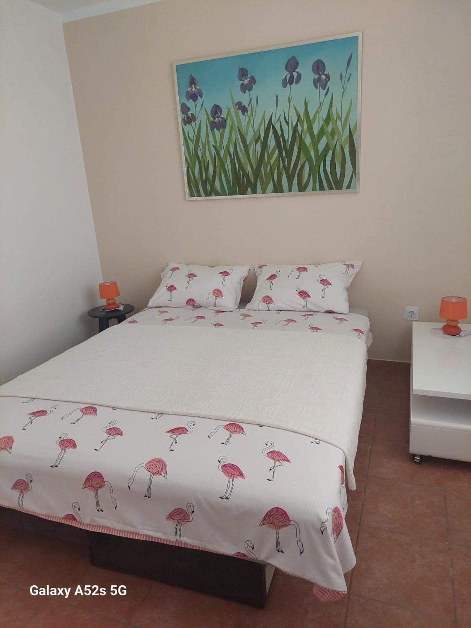 פרמנטורה Apartments Pimpinella מראה חיצוני תמונה