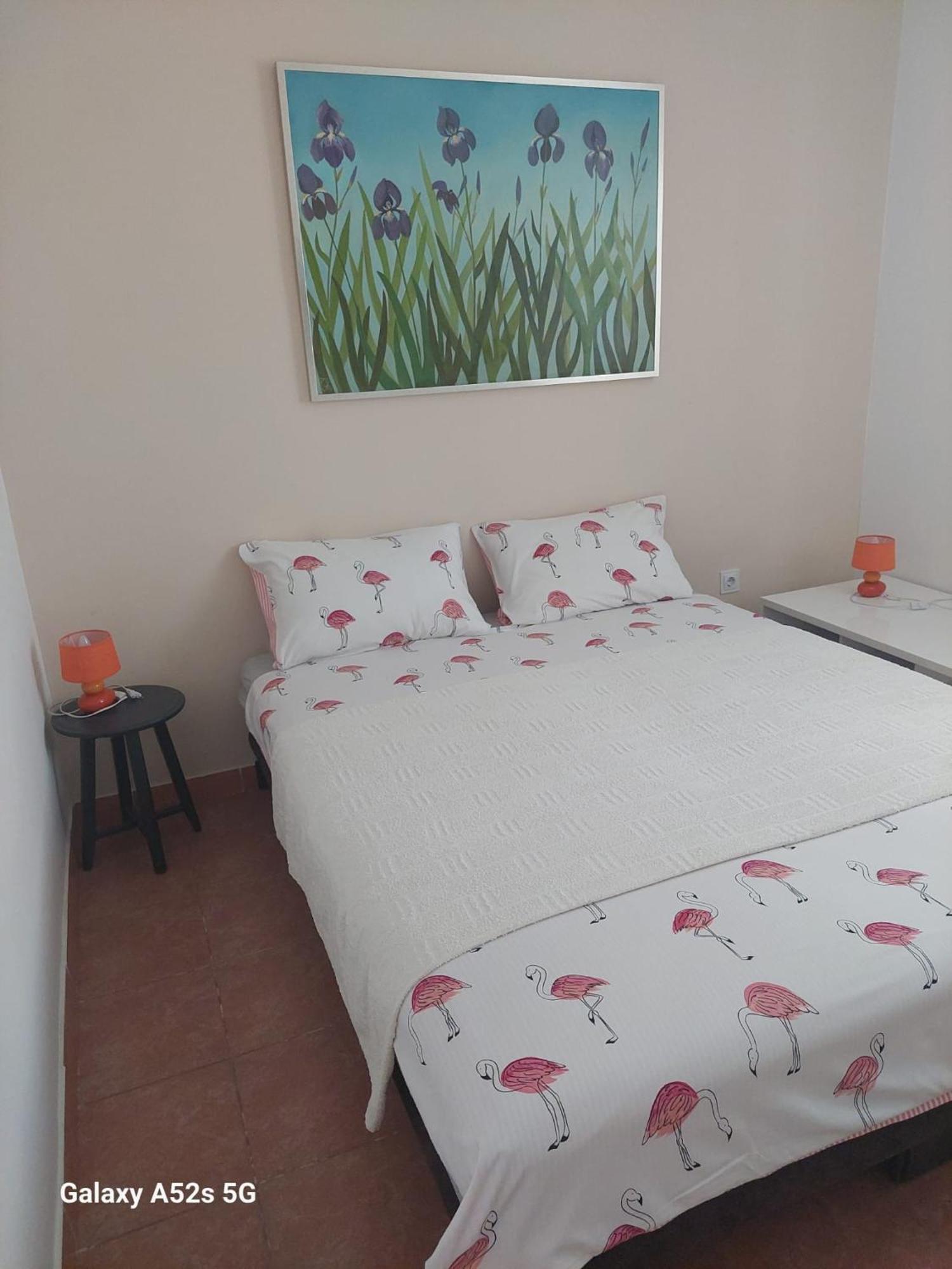 פרמנטורה Apartments Pimpinella מראה חיצוני תמונה